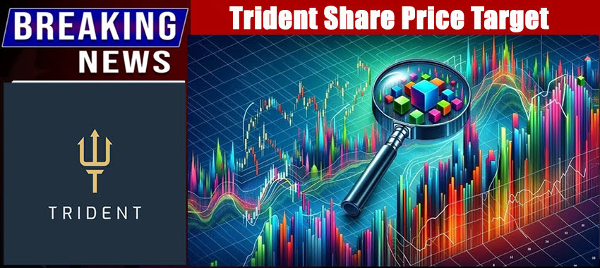 Trident Share Price Target